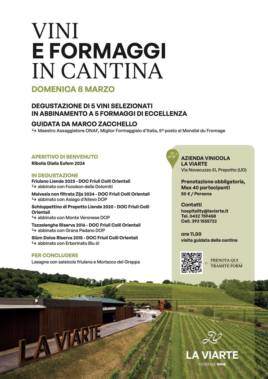 Vini e formaggi in cantina: percorso di degustazione